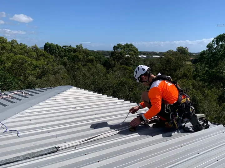 Specialised services